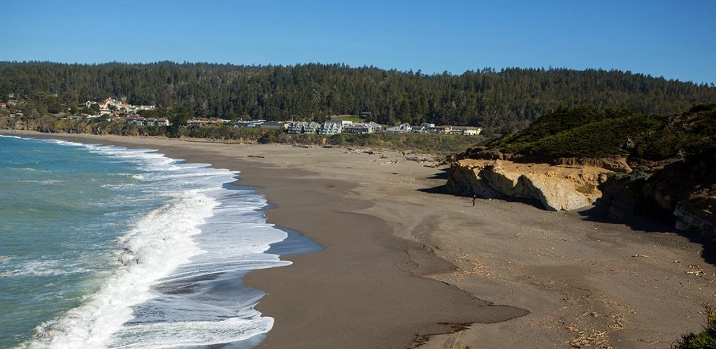 Gualala Point Regional Park is a dog-friendly camping site in California.