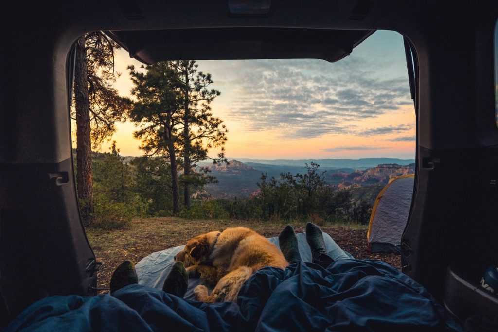 dog-friendly camping california