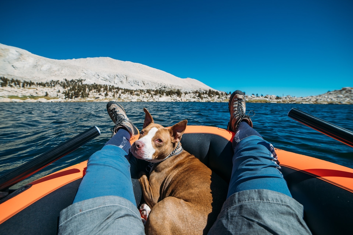 The Best Inflatable Kayaks for Dogs Dogsplorer