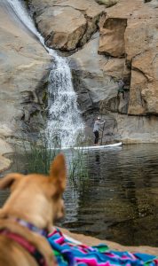 dog watching a woman paddle under waterfalls