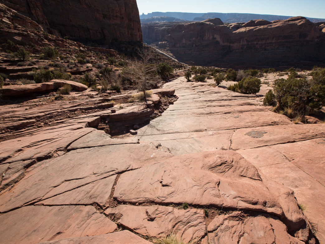 dog friendly hikes in moab