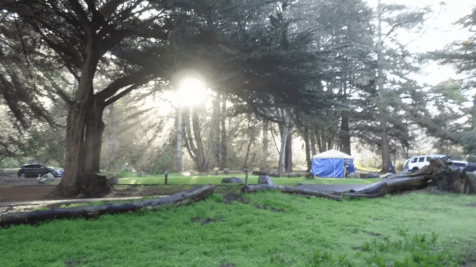 Plaskett Creek Campground, a dog-friendly camping site in California