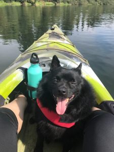 dog-friendly kayaking