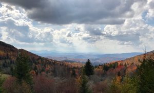 pine trees and mountains in Appalachian Trail