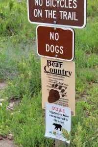 signage of bear country with "no dogs" sign