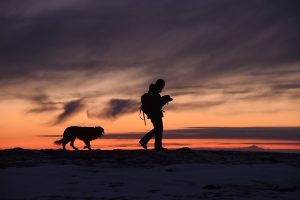 silhouette of man hiking with a dog