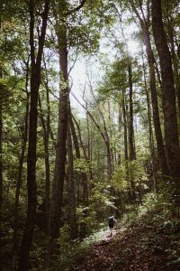 person walking through Appalachian Trail