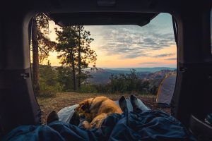 car camping with a dog at sunset