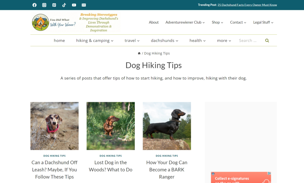 You Did What With Your Wiener is one of the best dog adventure blogs and profiles.