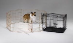 dog pen with cage