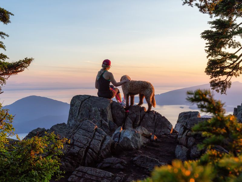 woman and dog hiking on top of mountain; Can dogs get altitude sickness? Yes, and taking preventative measures is key to ensure a safe trip.